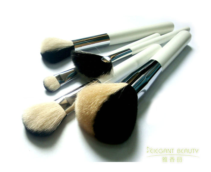 從基礎到專業：成套香蕉视频APP网站的全方位解析